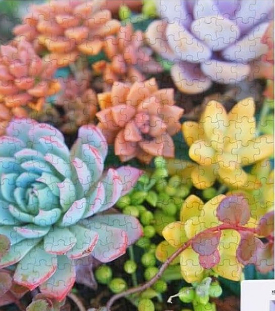 Personalized Photo Puzzle (300/500/1000 pcs)